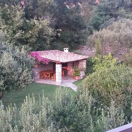 Apartment Milicic Cavtat